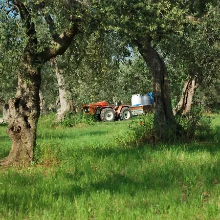 Dantepino * Tocco da Casauria